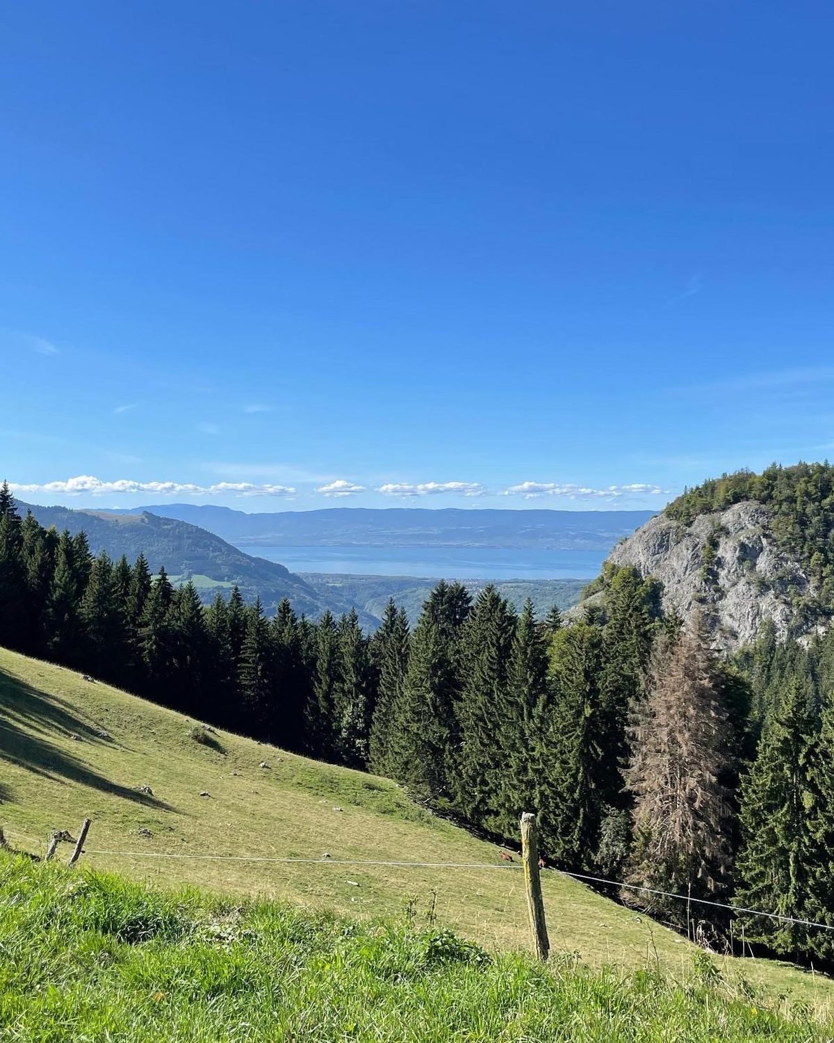 Green alpine hillside above Saint-Jean-d'Aulps with the lake beyond in summer
